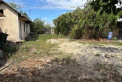 Casă cu Teren 6675 Mp în Morteni - 3