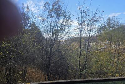 Inchiriem Apartament 2  Camere Open Space Modern Racadau - 13