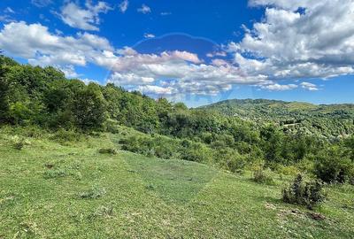 Teren intravilan Breaza 21190 mp Dealuri str. Livezi 6G Teren intravilan Breaza 21190 mp Dealuri str. Livezi 6G - 2