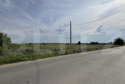 Teren Construcții intravilan de 3087 mp, în Ghercești - 3