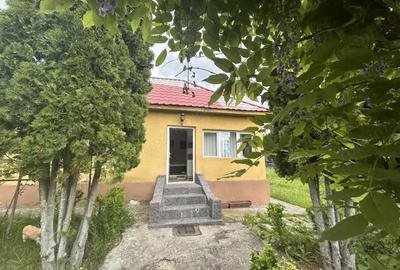 Casă cu 3 camere cu Canalizare în Breaza - 8