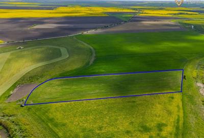 Teren agricol extravilan de 18000 mp, în Turnu - 2