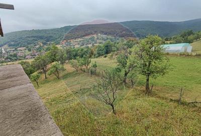 Casa de vacanta cu 6 camere de vanzare Suncuius - 15