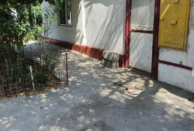 Vand casa zona Plantelor - 1