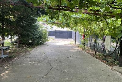 VOLUNTARI - Catedrala | Casa 7 Camere + Constructie Secundara - 3