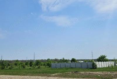Teren de 490 mp, în Săbăreni