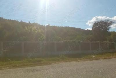 Vind Casa Dumbrave?ti Arges la doar 15 km de Pitesti - 3