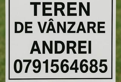 Teren de 10000 mp, în Chinteni