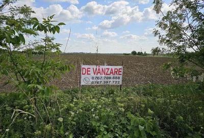 Teren de 2440 mp, în Slătioara - 1