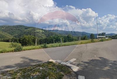 Teren agricol extravilan de 128948 mp, în Munteni - 9