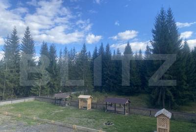 Vanzare pensiune intr-o zona superba din Poiana Negrii - 11