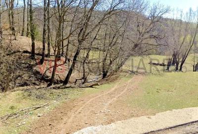 Teren de vanzare in Breaza Nistoresti Str Muresului - 3