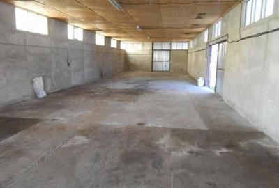 Spațiu comercial, de 250 mp, în Ineu - 3