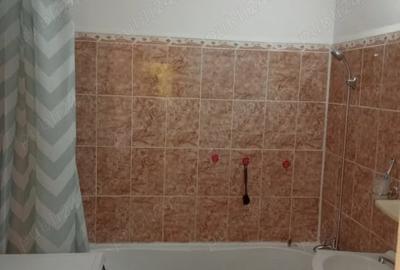 Apartament 2 Camere Rahova Bucuresti - 4