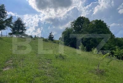 Teren de vanzare, 2 ha - Campulung Moldovenesc, zona Sandru - 8