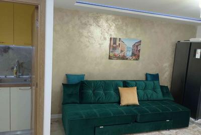 Garsonieră  Craiovei,  confort 1 - stradal , complet utilată  si mobilata - 5