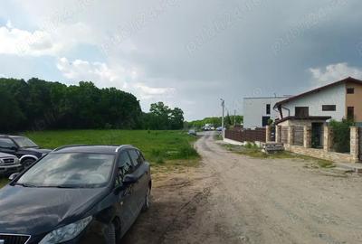 Teren de 8000 mp, în Făget - 3