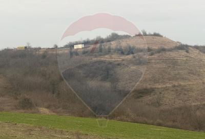 Teren agricol extravilan de 18800 mp, în Crișeni - 1