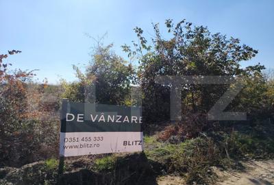 Teren intravilan, 1800 mp, zona Carcea Profi, P+2, deschider - 3