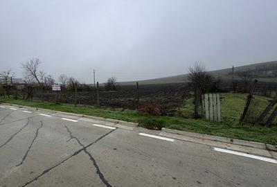 Teren de 5400 mp, în Tutova - 1