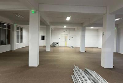 Birou, de 225 mp, în Luncă - 2