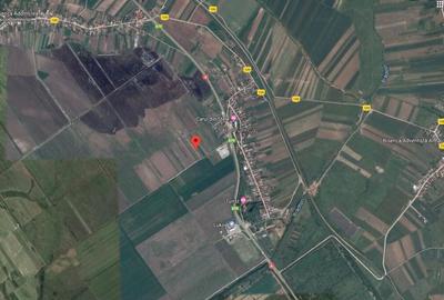 Teren extravilan, Cotofenii din Fata, jud Dolj -id 6954-0... - 1