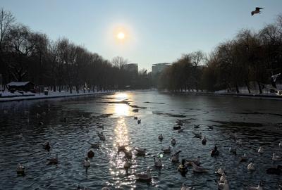 Apartament cu 3 camere semidecomandat în Titan - 25