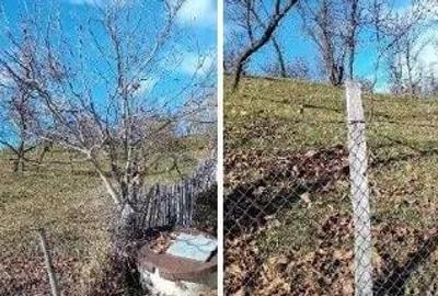 Teren de 2894 mp, în Vistieru - 9