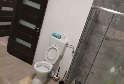 Casă cu 3 camere în Clinceni - 1