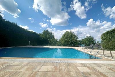 Vila deosebita pe malul lacului Corbeanca Vila deosebita pe malul lacului Corbeanca - 19