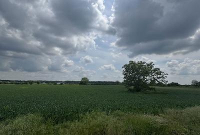 Teren de 1000 mp, în Moara Vlăsiei
