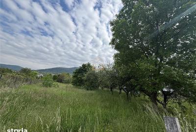 Teren de 3700 mp, în Valea Borcutului - 6
