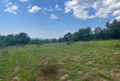 Teren Construcții extravilan de 10000 mp, în Borlova - 3