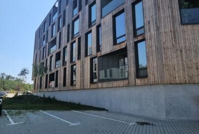 PRIMA INCHIRIERE PENTHOUSE LOFT MOGOSOAIA - 12