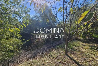 Teren Construcții intravilan de 308 mp, în Bălești - 6