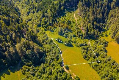 Teren Construcții intravilan de 7300 mp, în Brădet - 3