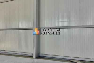 Magurele- Centura - 3