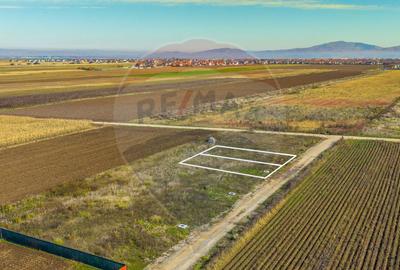 0% Comision | Teren 650 mp | Sacele, Str. Venus | Curent ... - 6