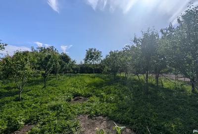 Casă cu 4 camere în Sinești - 2