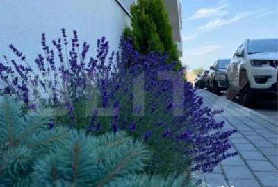 Apartament cu 2 camere decomandat, mobilat în Sânpetru - 3