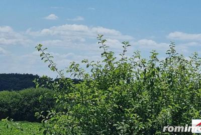 Teren de 10000 mp, în Dorolț - 5