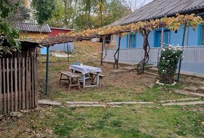 Casă cu 3 camere în Leorda - 1