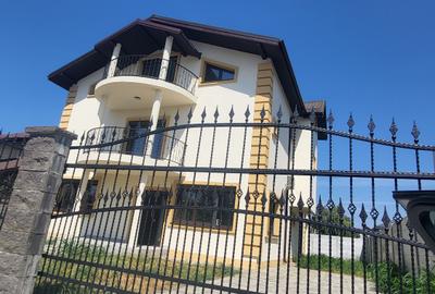 Vanzare Vila exclusivista,  5 camere, comuna Berceni - 29