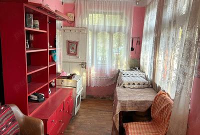 Casă cu 3 camere cu Teren 2872 Mp în Slătioara - 10