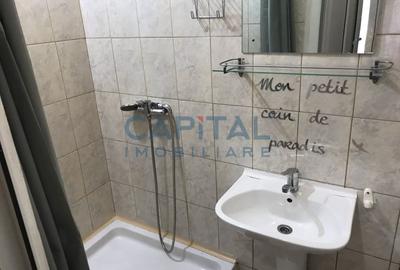 0% Comision! Apartament cu 1 camera de inchiriat, Central - 6