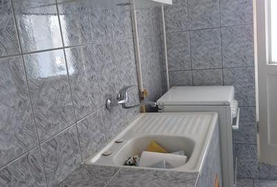 Garsonieră în Paltin - 8