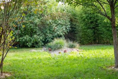 Casă cu 10 camere cu Teren 990 Mp în Sălaj - 5