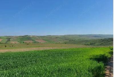 Cota de 1/2 din teren extravilan, comuna Rogova, Jud Mehedinti - 1