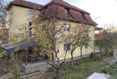 Vand casa mare+65 arii teren intravilan - 4