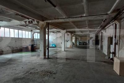 Spatiu industrial, hale in Unirea - 3